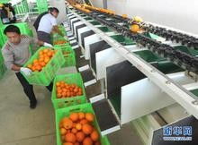 深圳二手食品生產(chǎn)線進(jìn)口代理全流程解析 西班牙搬遷、備案中檢、報關(guān)一站式服務(wù)
