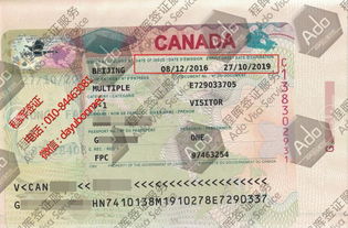 簽證服務(wù)批發(fā)與供應(yīng) 商務(wù)簽證的快捷解決方案